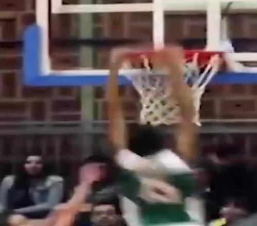 巅峰对决,港口璀璨,逆境重生传,广州马会,赛程安排,赛马资讯,马匹资料,会员服务