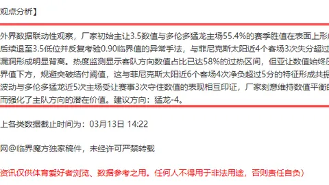 紐卡斯爾聯籌劃聖詹姆斯公園球場擴建，規模預計達6.5萬席