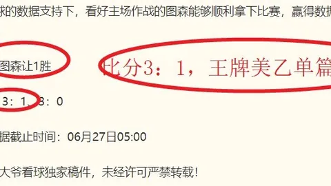 巴西乙联赛前瞻：庞特普雷塔对阵克里丘马，连胜攻略解析